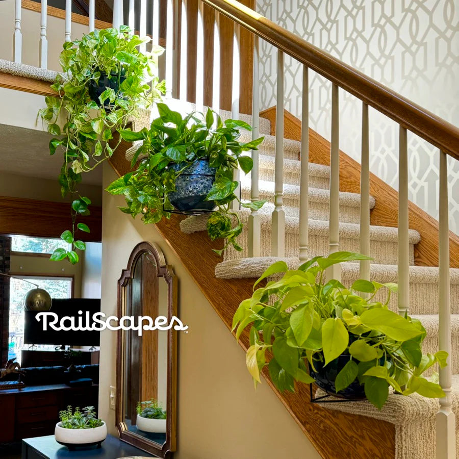 quavely™ - floating plant hangers (3 packs)